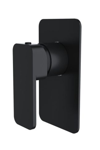 Kasten Shower Mixer Matte Black