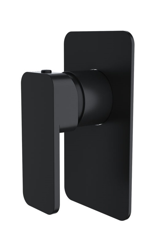 Kasten Shower Mixer Matte Black