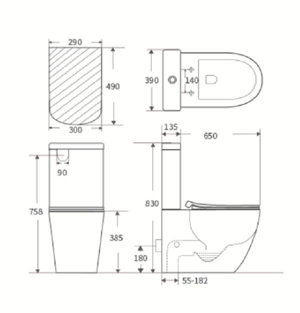 Ascoli Rimless Flushing Back To Wall Toilet Suite - Image 6