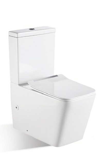 Caserta Rimless Flushing Back To Wall Toilet Suite - Image 3