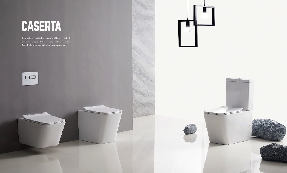 Caserta Rimless Flushing Back To Wall Toilet Suite - Image 4