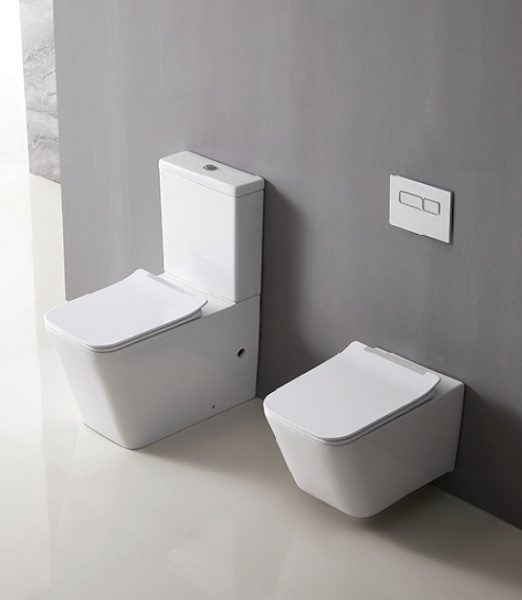 Caserta Rimless Flushing Back To Wall Toilet Suite - Image 5