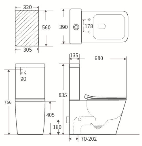 Caserta Rimless Flushing Back To Wall Toilet Suite - Image 6