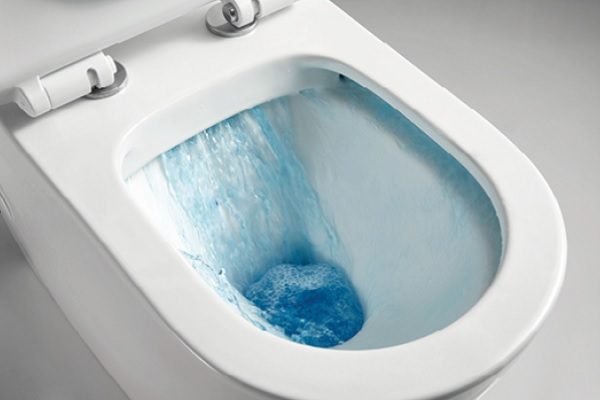 Cortona Rimless Flushing Back To Wall Toilet Suite - Image 4