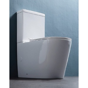 Cortona Rimless Flushing Back To Wall Toilet Suite