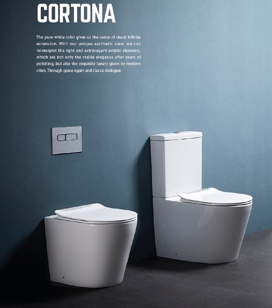 Cortona Rimless Flushing Back To Wall Toilet Suite - Image 6