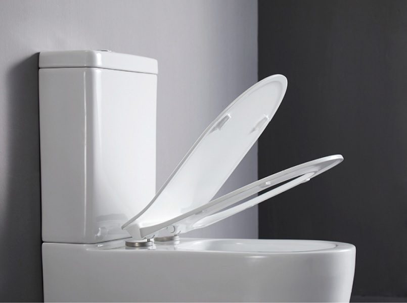Gubbio Tornado Flushing Back To Wall Toilet Suite - Image 2
