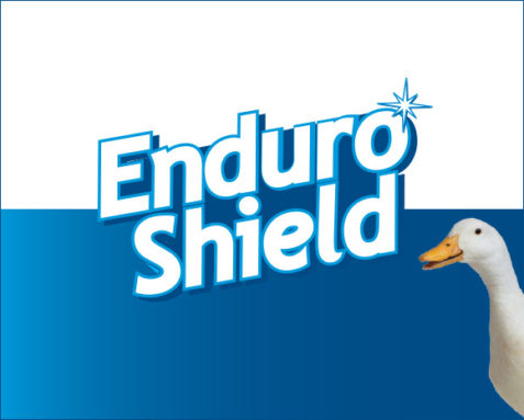 Enduroshield Glass Coating Treatment Kit - Image 4