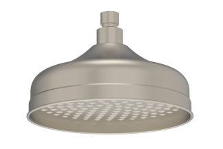 ADP Eternal Shower Rose Brushed Nickel