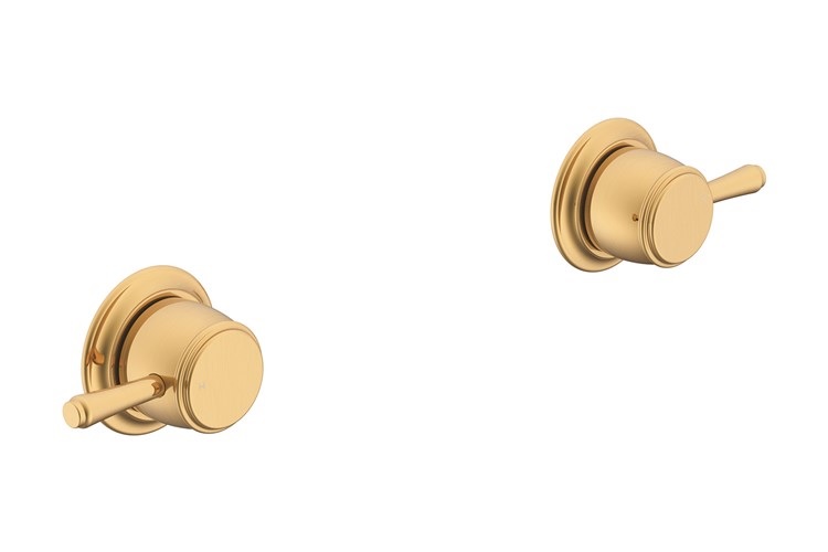 ADP Eternal Wall Top Assembly Brushed Brass