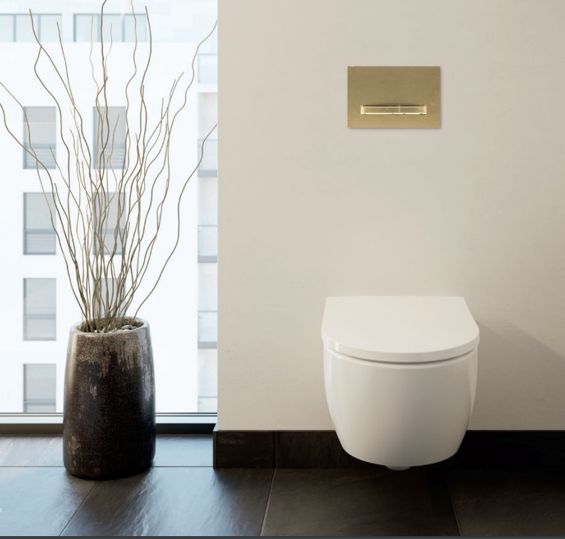 Sigma 50 Dual Flush Brass Brushed With Brass Button - Image 4