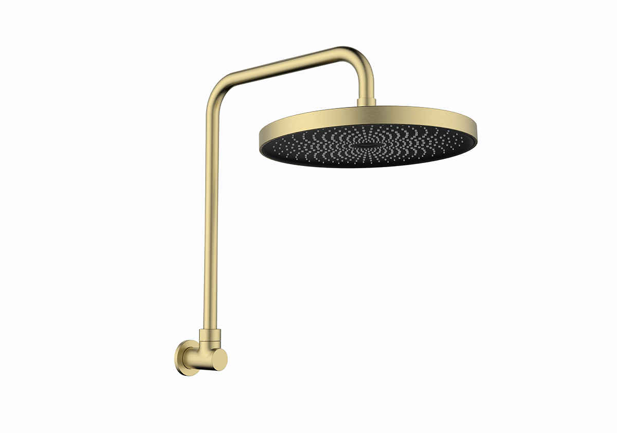 The Gabe Gooseneck Fixed Shower Brushed Gold