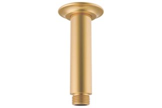 ADP Eternal Shower Dropper 100 Brushed Brass