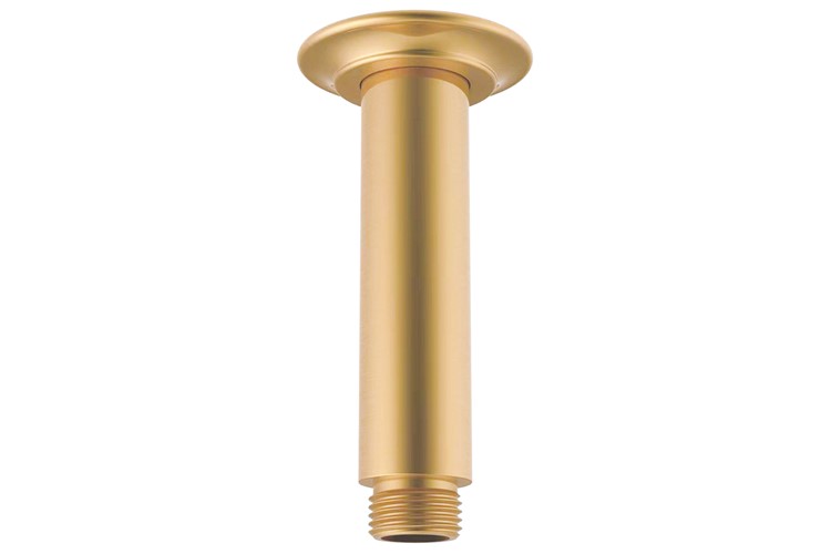 ADP Eternal Shower Dropper 100 Brushed Brass