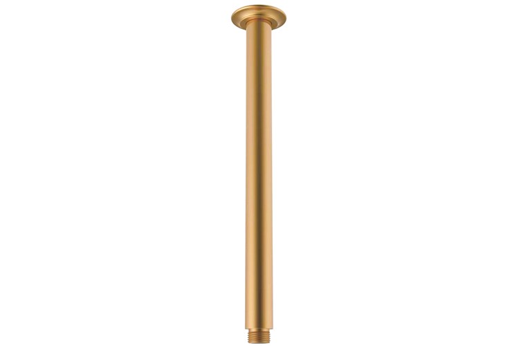 ADP Eternal Shower Dropper 300 Brushed Brass